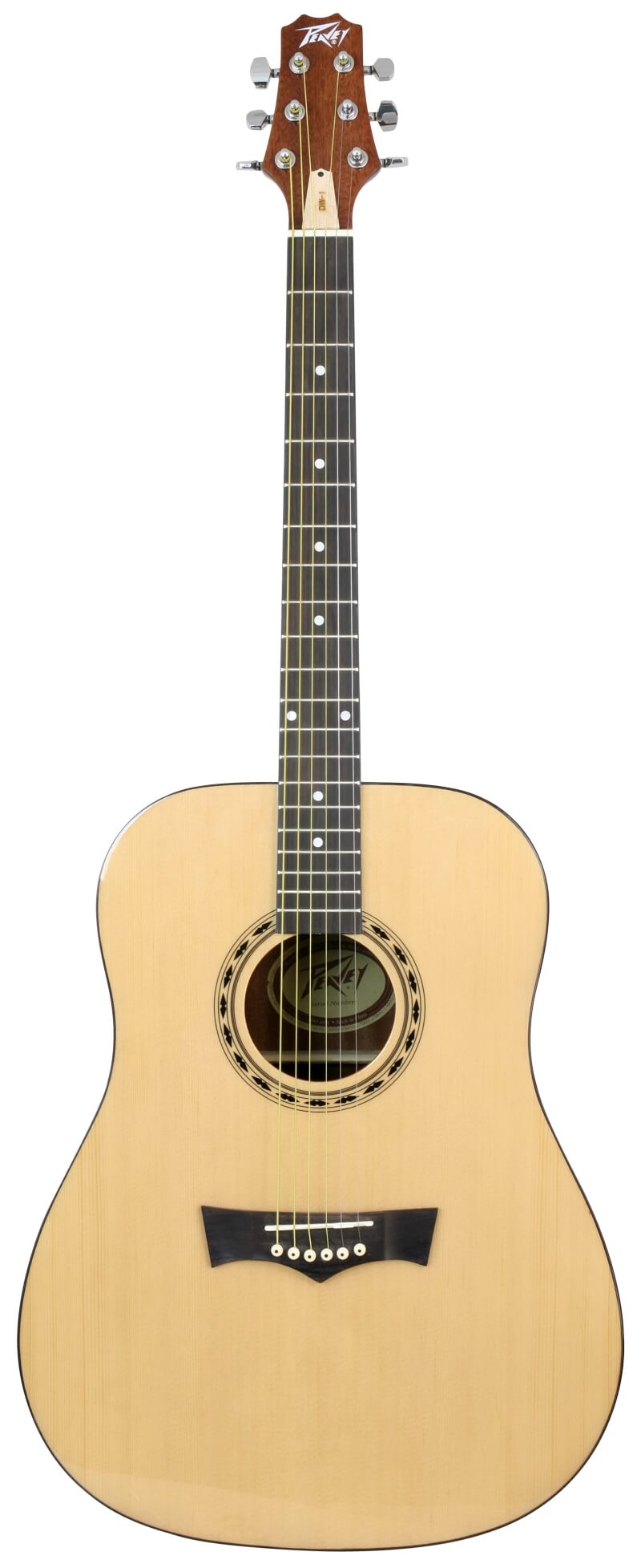 Peavey DW 1 Acoustic Guitar, image credit: Peavey